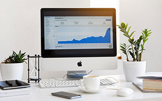 探索极致体验：mk体育官方网站带你进入体育世界的新纪元